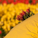 lifting the veil of self-censorship